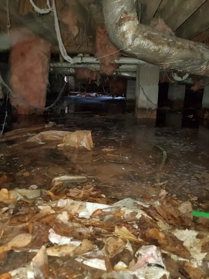 Crawl space flood assessment for Leak Detection & Repair in Owego
