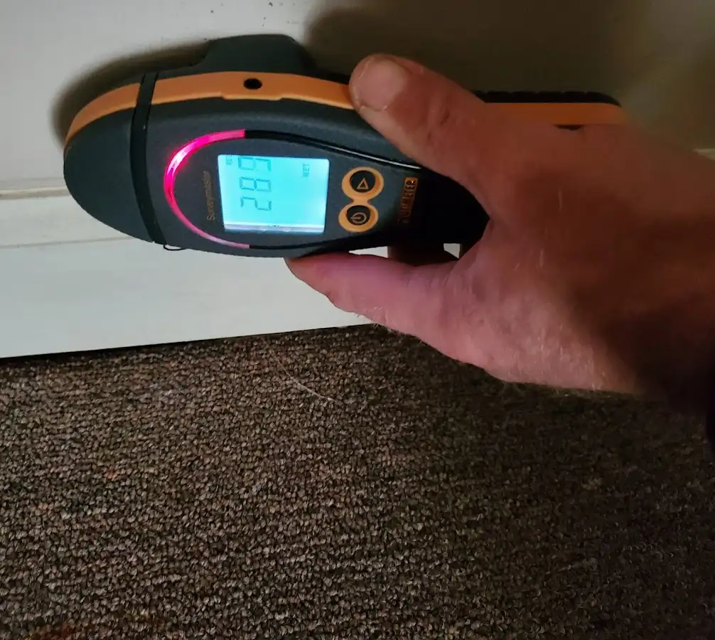 Moisture detection at baseboard during Mold Inspection & Testing in Owego